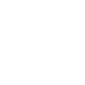 google_icon