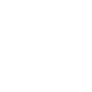 youtube_icon